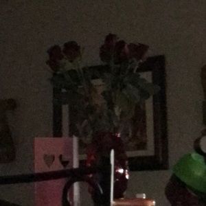 Meet your Posher, Krystal